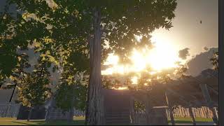 The Trial Visual Feedback