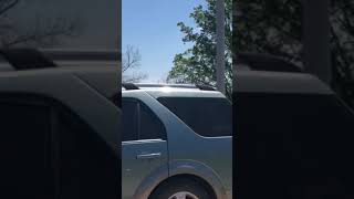 IMG 4316
