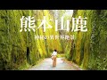 【本当は教えたくない】こんな絶景があったのか!熊本県山鹿市の秘境&絶景スポットを巡る旅/美しい「岩隈山の切通し」「八千代座」「鞠智城」栗と空の山鹿和栗スイーツ/熊本県観光スポット【九州の絶景】