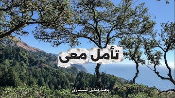الله نور السماوات والأرض| سورة النور /محمد صديق المنشاوي 