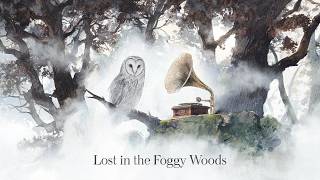Lost in the Foggy Woods - Lofi Hip Hop / Chill Beats to relax/study to 🦉🎵
