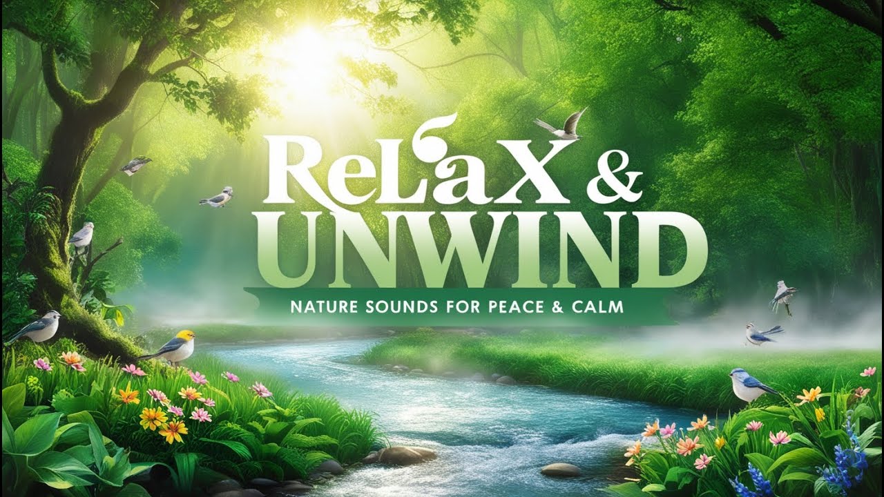 Relaxing Nature Sounds I Peaceful Forest Ambiance for Stress Relief ...