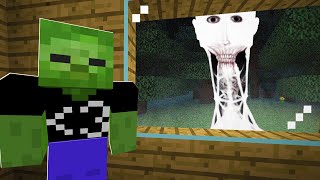 We Survived The Scariest Phenomenon in Minecraft..