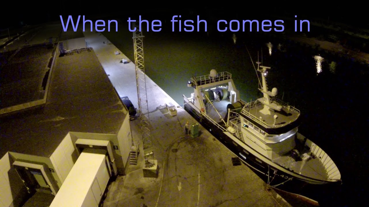 GoPro-Dji Phantom. Title: 