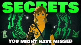 A Bunch of Secrets in Tears of The Kingdom You MIGHT Have Missed!