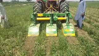 Inter Row Rotary Cultivator
