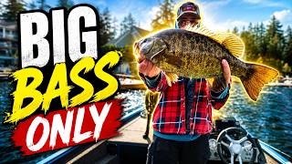 My Home Lake Has BIG BASS!