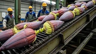 Inside the World's Most Advanced Factories | Amazing Recycling & Manufacturing