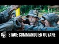 Le cefe  la formation commando dans la jungle guyanaise