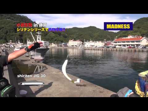 小沼正弥 MADNESS シリテンシリーズで堤防青物攻略!!