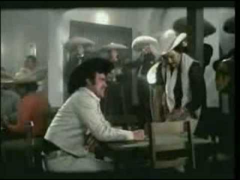 Vicente Fernández - Escucha Las Golondrinas