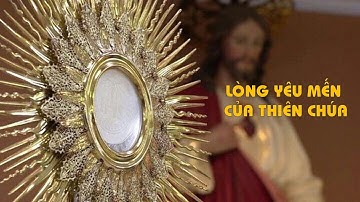 BÍ TÍCH THÁNH THỂ THỂ HIỆN LÒNG YÊU MẾN CỦA THIÊN CHÚA || Lm. Giuse Nguyễn Trọng Sơn