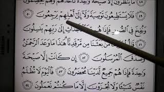 Surat surah yasin muka al dalam quran Surah Yasin