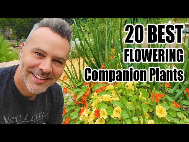 Best Companion Planting Flowers for the Vegetable Garden class=