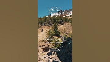 تلاوة تهز القلوب من القرآن الكريم     #القرآن#القرآن_الكريم#تلاوة#تلاوة_خاشعة#كلام_الله