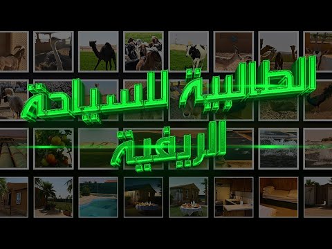 تجربة يوم كامل بكل تفاصيلة في مزرعة الطالبية