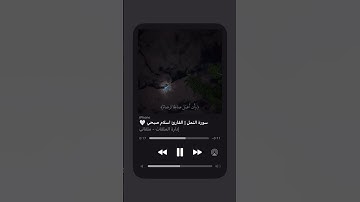 اكتب شيء تؤجر عليه  | سوره النمل