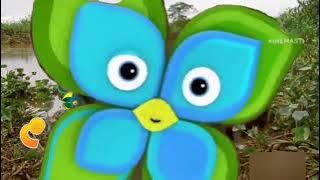 فاصل براعم الكابيبارا في نام القمر 2011-2012-2013-2014-2015-2016