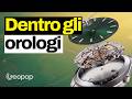 Smontiamo un orologio meccanico per mostrarvi com'è fatto dentro