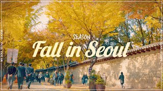 [Seoul My Soul: Season] Fall In Seoul