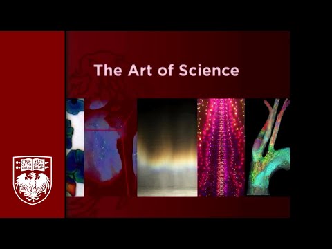 The Art of