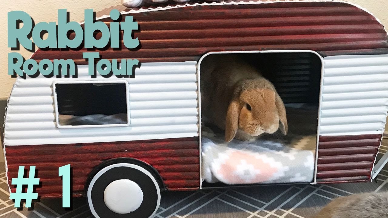 rabbit tour los angeles