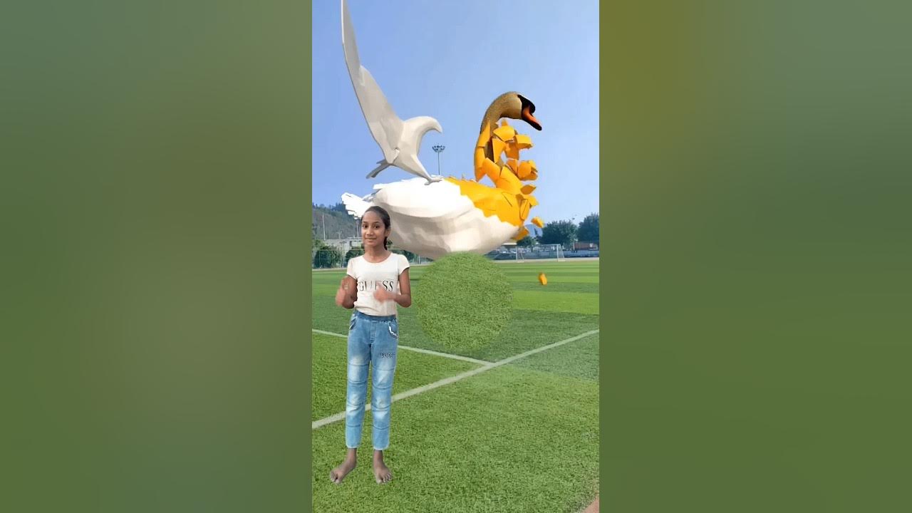 The_big_white_goose_and_the_eagle%F0%9F%A6%853D_Special_Effects___3D ...