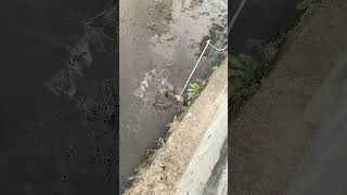 New Slingshot Fishing Reel Set Is Free For Shipping On Sale. Homepage Have Store