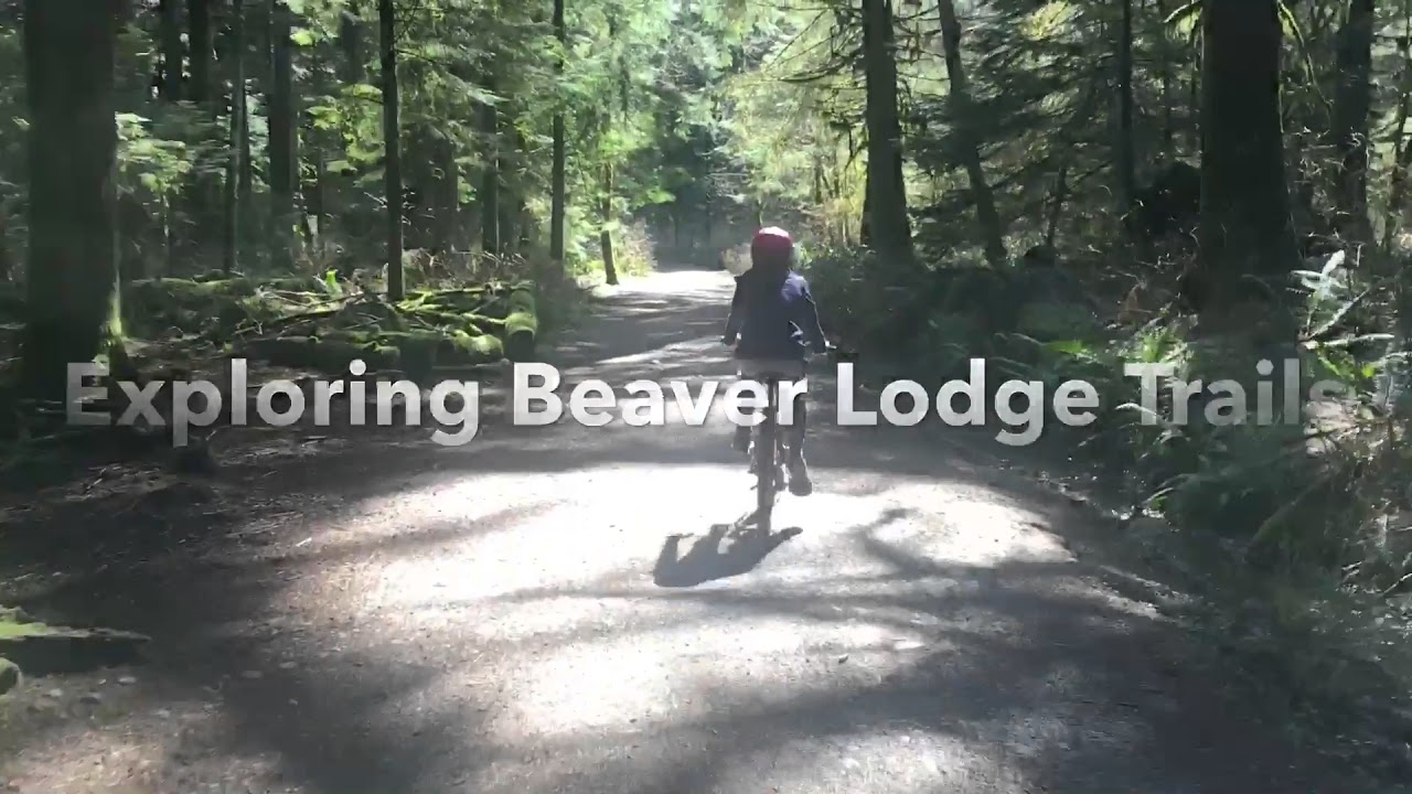 Exploring Beaver Lodge Trails