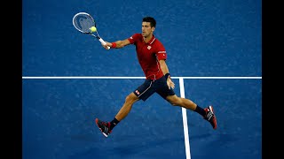 Djokovic Around the Net Winner (2014)