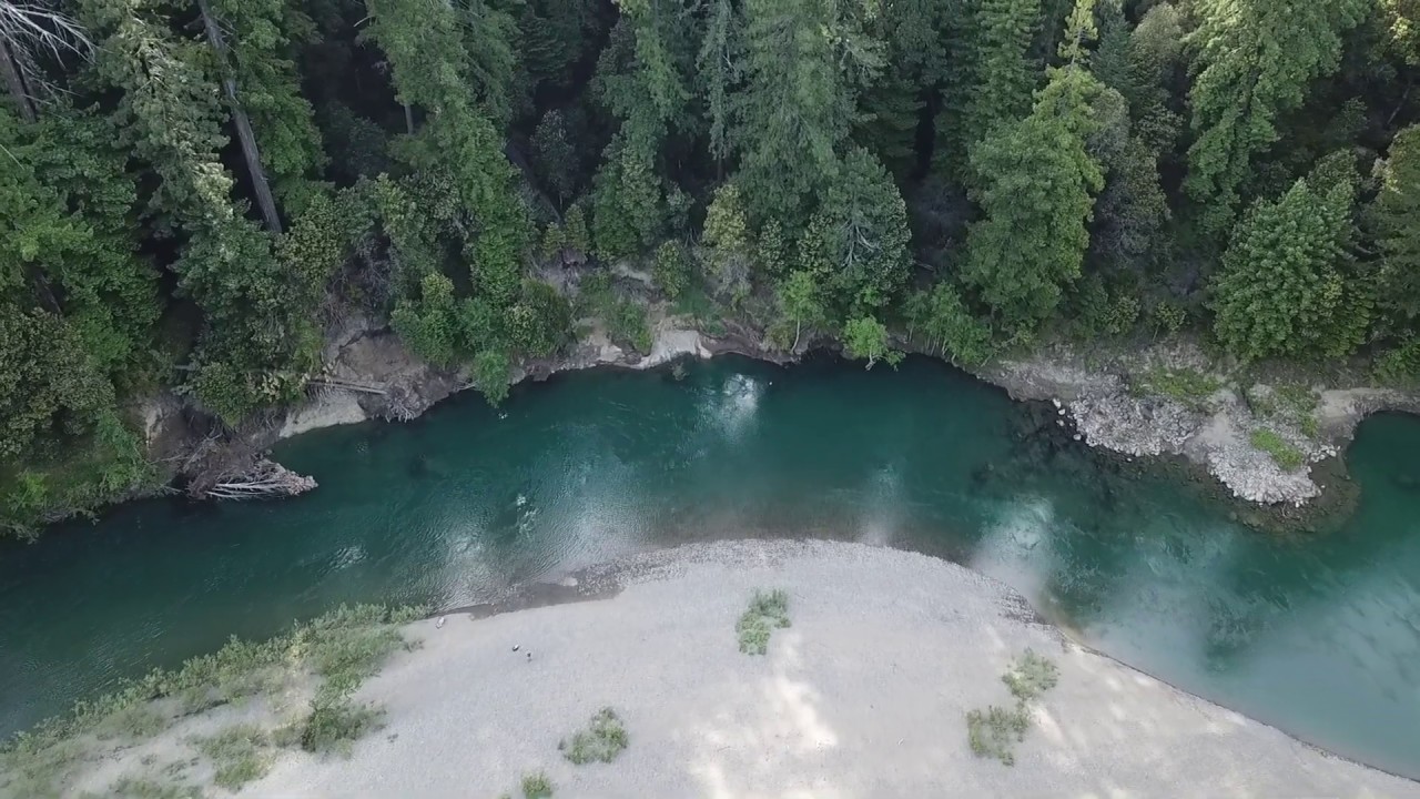 Avenue of Giants, Garden Club of America Grove