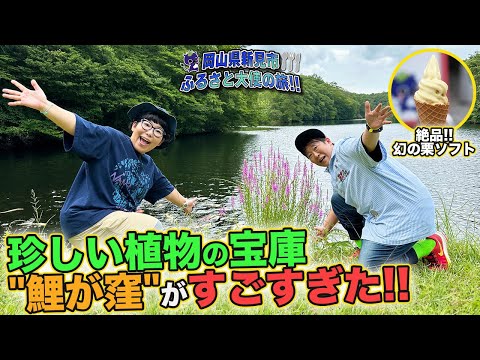 岡山県新見市】珍しい植物の宝庫