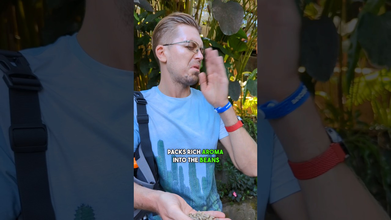 This coffee is 🤑 OVERPRICED as SH*T 💩