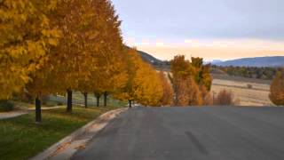 Fall Photography 2012
