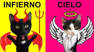 Infierno o paraíso con personajes famosos / Juego Judgment Day / Videos de gatos Luna y Estrella