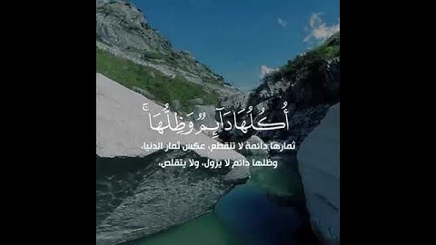 مَّثَلُ الْجَنَّةِ الَّتِي وُعِدَ الْمُتَّقُونَ.. تلاوة خاشعة لفضيلة الشيخ يوسف الصقير 💚