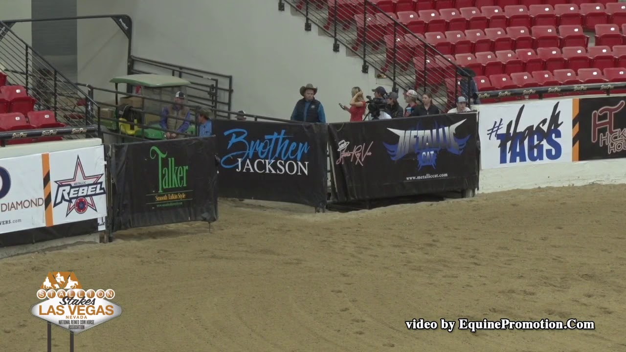 Scooter Kat Stallion Stakes 2019 Fence Work YouTube