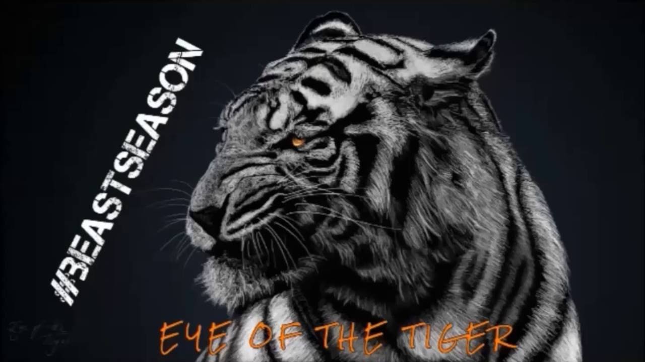 Graceville Tigers Football- The Hunt