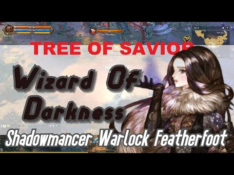 Wizard of Darkness Build Shadowmancer Warlock Featherfoot