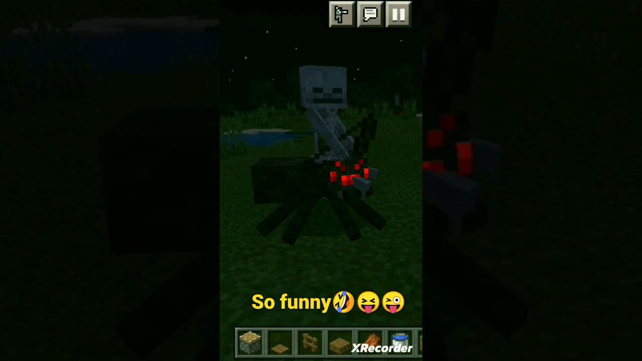 skeleton funny video in minecraft