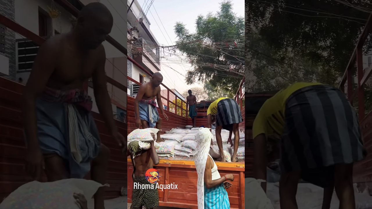 All Aquarium type stones and rocks | RHOMA AQUATIX