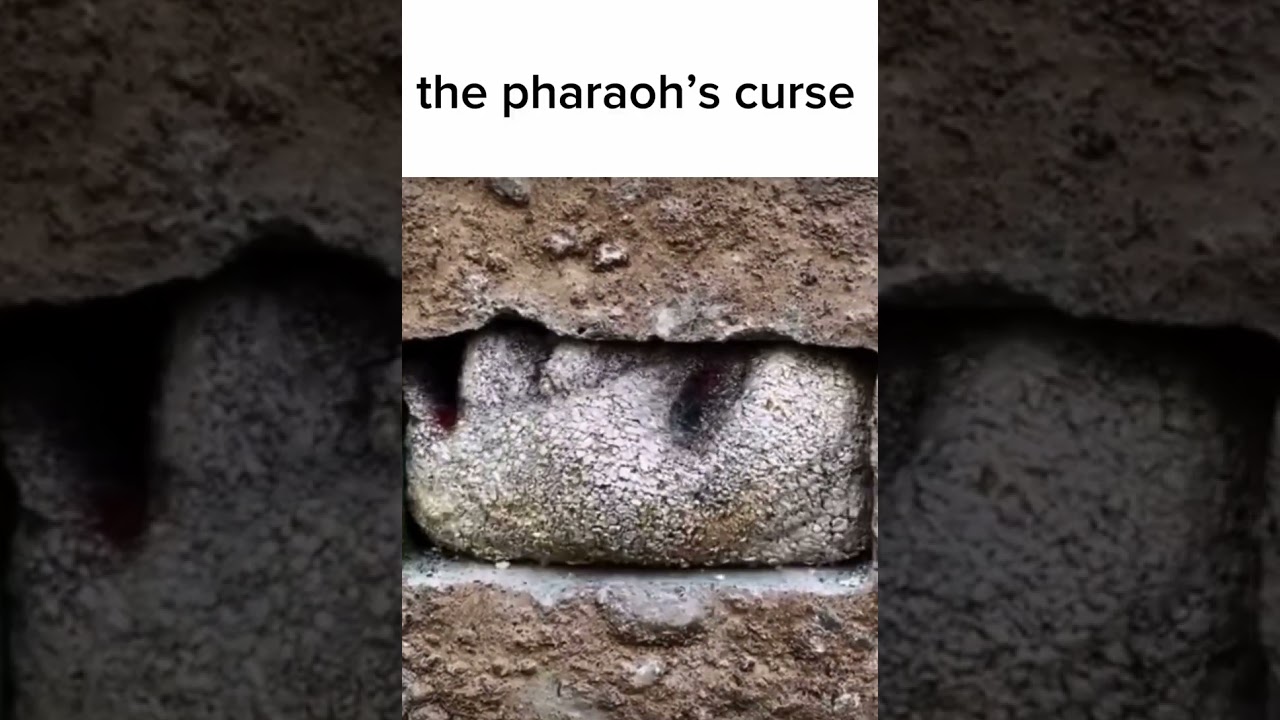 the pharaoh’s curse