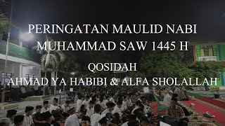 QOSIDAH AHMAD YA HABIBI & ALFA SHOLALLAH - HADROH DARUTTAUBAH #maulidnabi