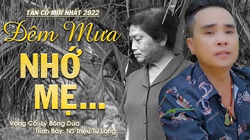 Rới Nước Mắt Với Tân Cổ "Đêm Mưa Nhớ Mẹ" Nghe Xót Xa Lòng - NS Triệu Tử Long | Tân Cổ Mới Nhất 2022
