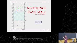 Determining the nature of neutrinos: Majorana versus Dirac screenshot 4