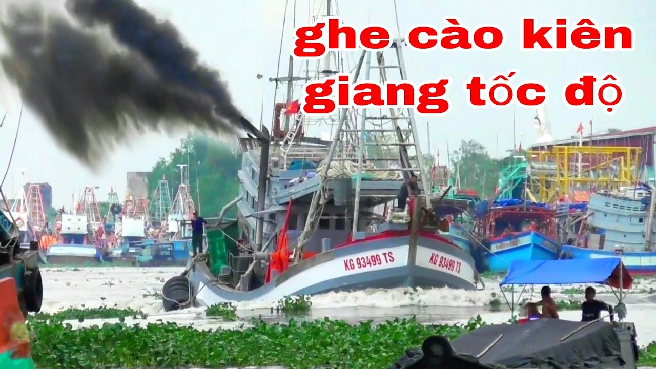 GHE CÀO KIÊN GIANG ĐẶC KẸO TẠI SÔNG TẮC CẬU XUẤT HÀNH