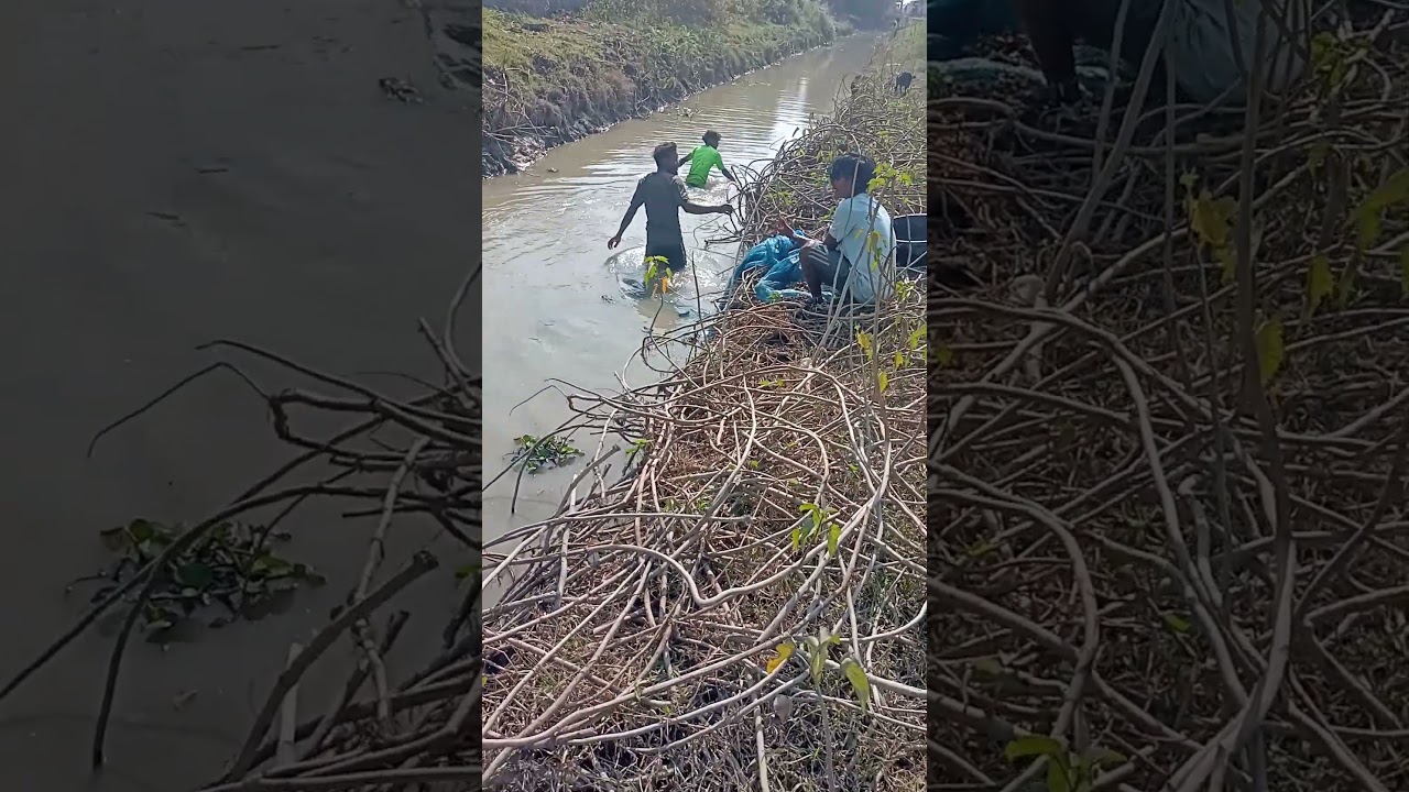 Village style fishing ,,,,,😊😊😊😊😊viral fishing 😃😃