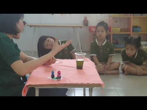 Tiết học stem. Lĩnh vực khoa học