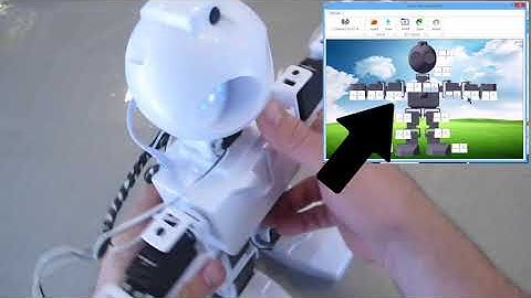 JD Servo Fine Tune Humanoid Robot