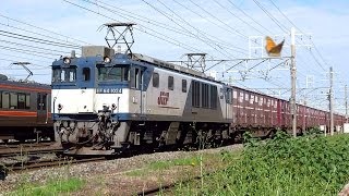 JR貨物 EF64-1024 貨物列車 (2075レ JR貨物更新色 大宮更新) 稲沢-清洲